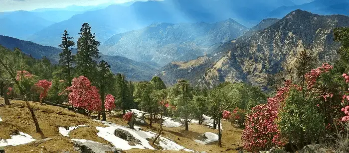 Kausani